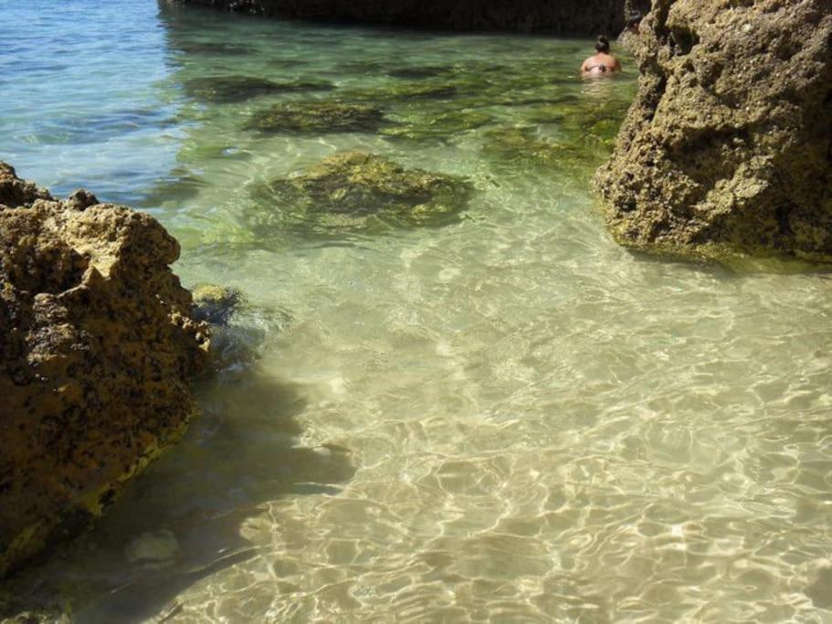 Apartamento Encantador A 100M Da Praia Carvoeiro  Buitenkant foto